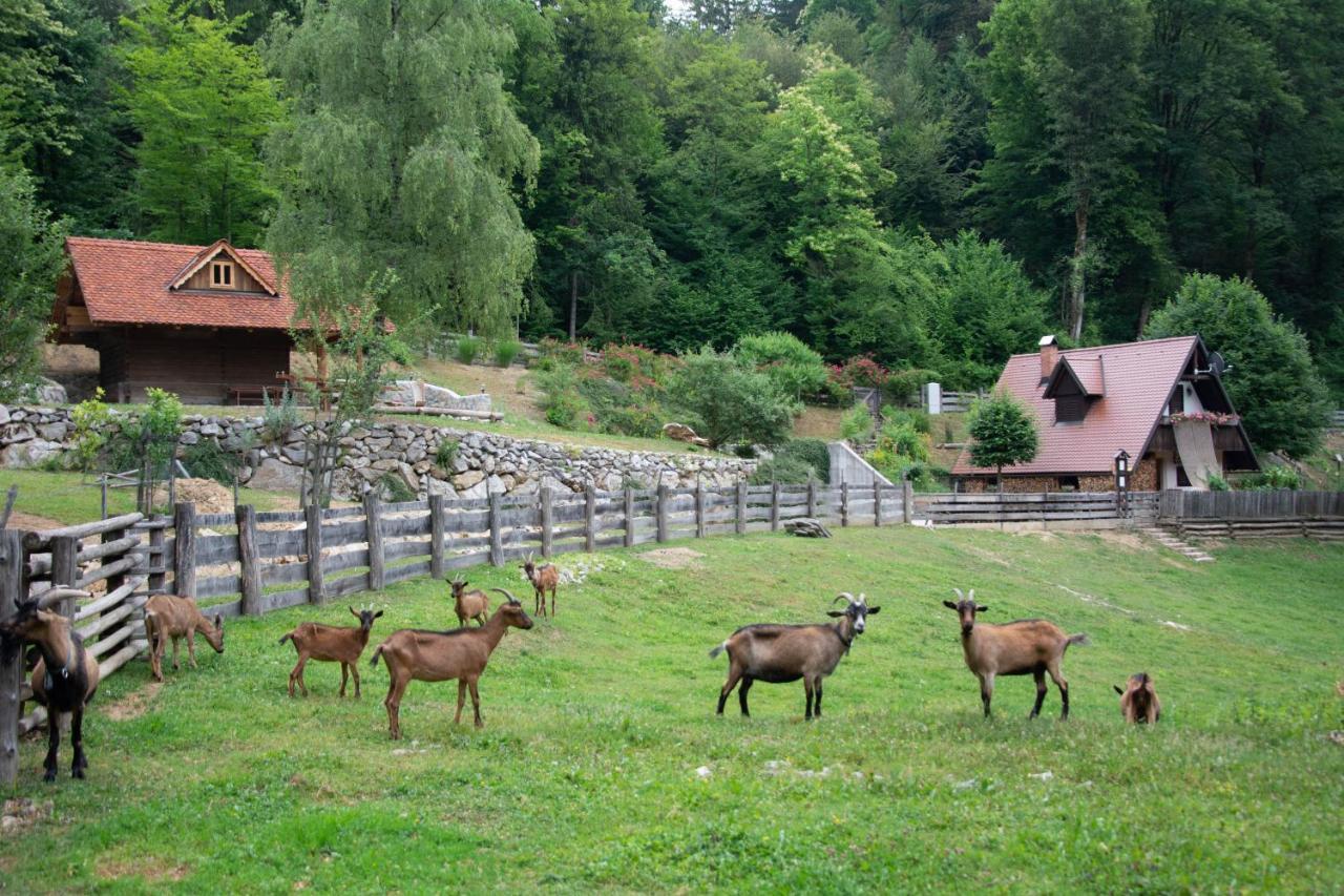 Apartma Kasca Domzale Luaran gambar